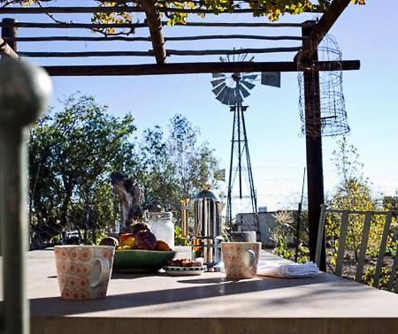 Hotel Olive Grove House Prince Albert Esterno foto