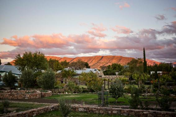 Hotel Olive Grove House Prince Albert Esterno foto